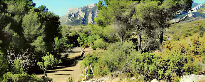 Yoga & Deep Rest Meditation Retreat