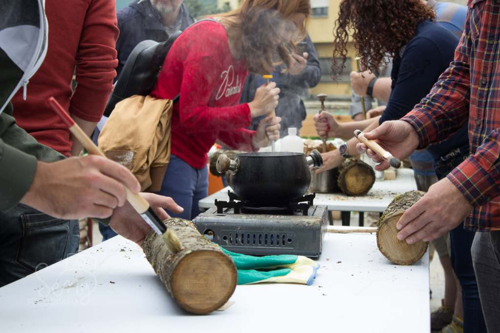 Shiitake Cultivation Course in Navarra