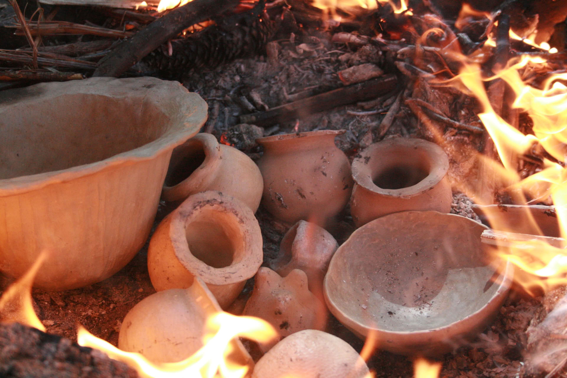 Boogbouw – Ancestrale & druidische vaardigheden weekend – 6 tot 9 augustus 2026 – LAATSTE PLEK