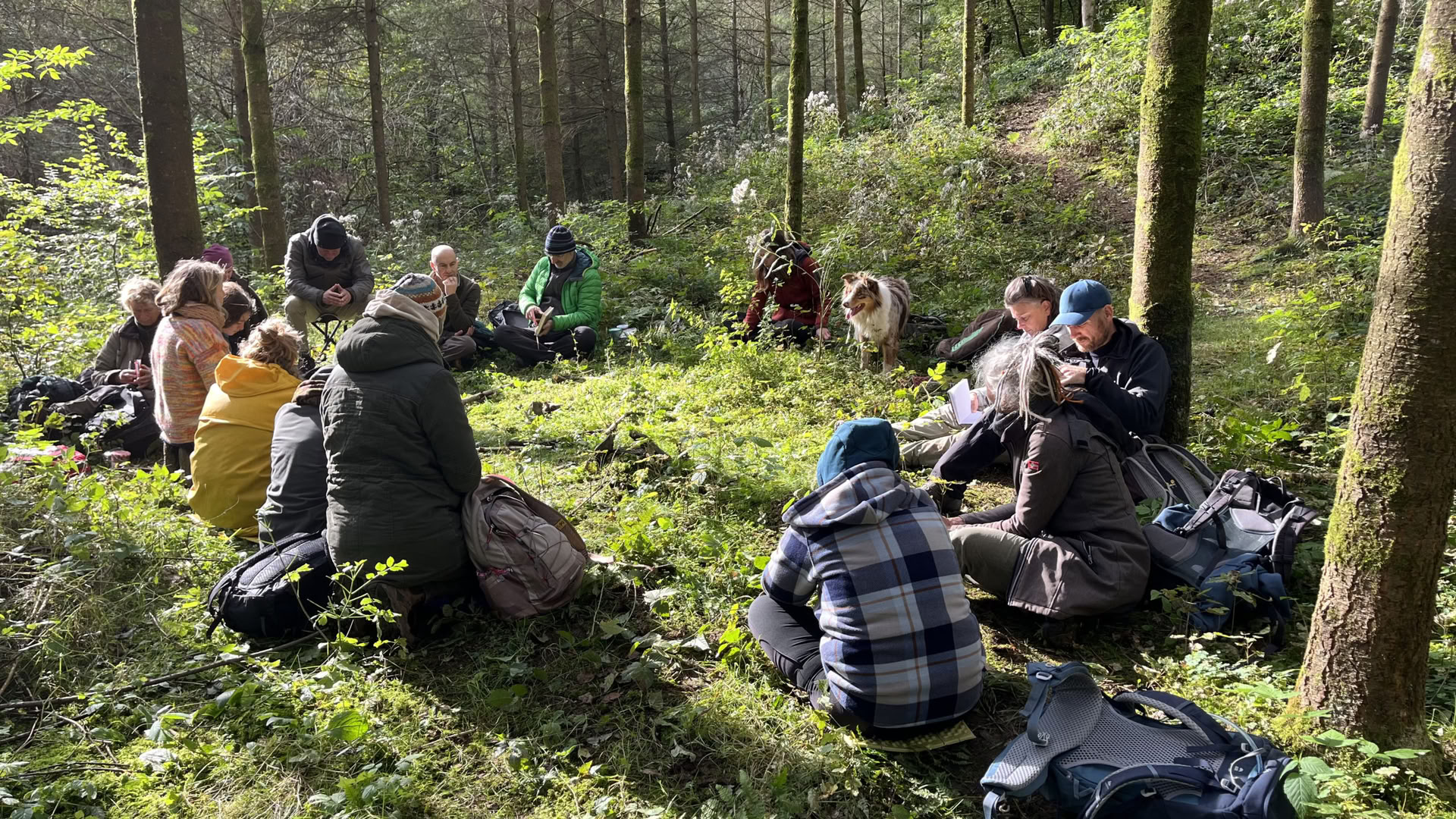 Boogbouw – Ancestrale & druidische vaardigheden weekend – 6 tot 9 augustus 2026 – LAATSTE PLEK
