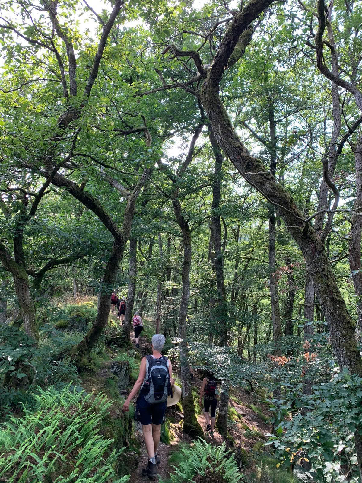 Kruiden & Initiatie weekend – Kruidenwaters maken – 18 tot 20 september 2026 – LAATSTE 2 PLEKKEN