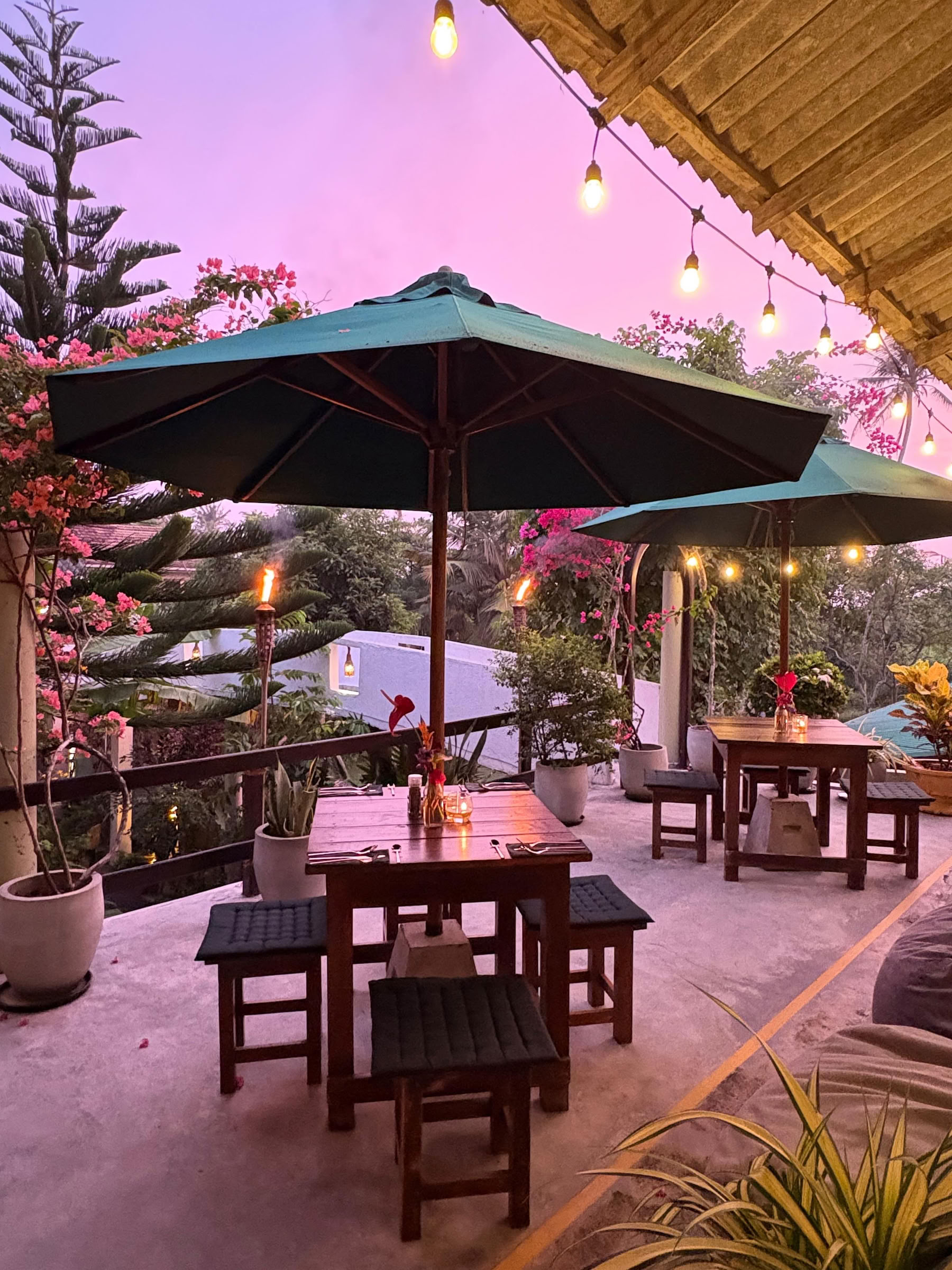 8-Day Intensive Yoga, Breathwork & Mediation Retreat Sri Lanka