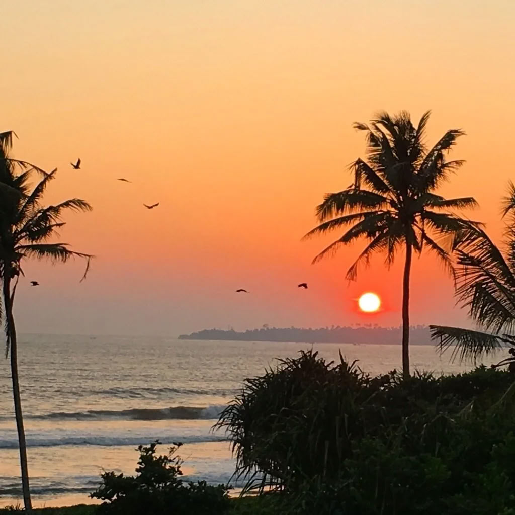 DANCE, SURF, YOGA Retreat in Sri-Lanka