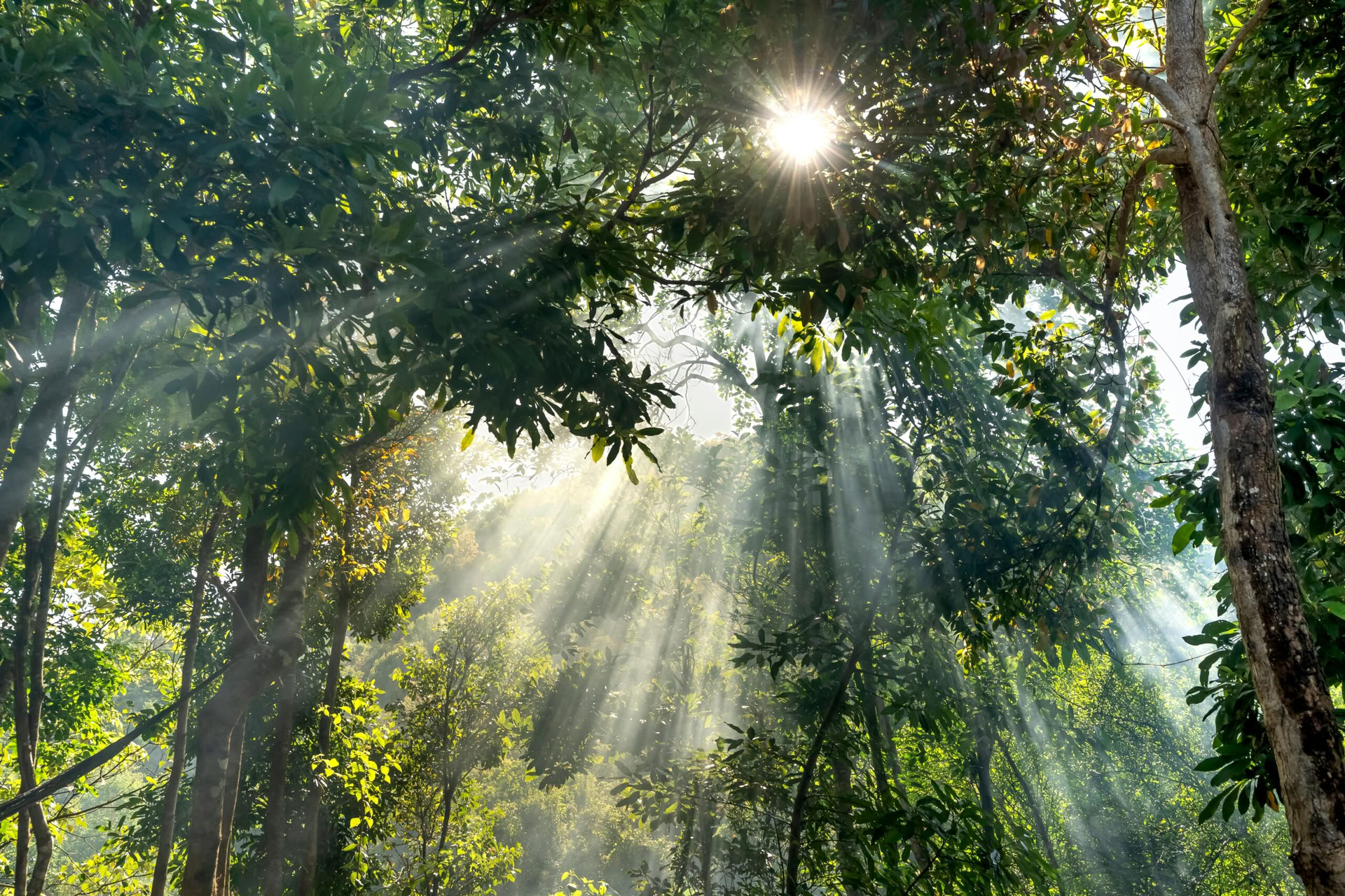 5Days & 4Nights Mindfulness Journey