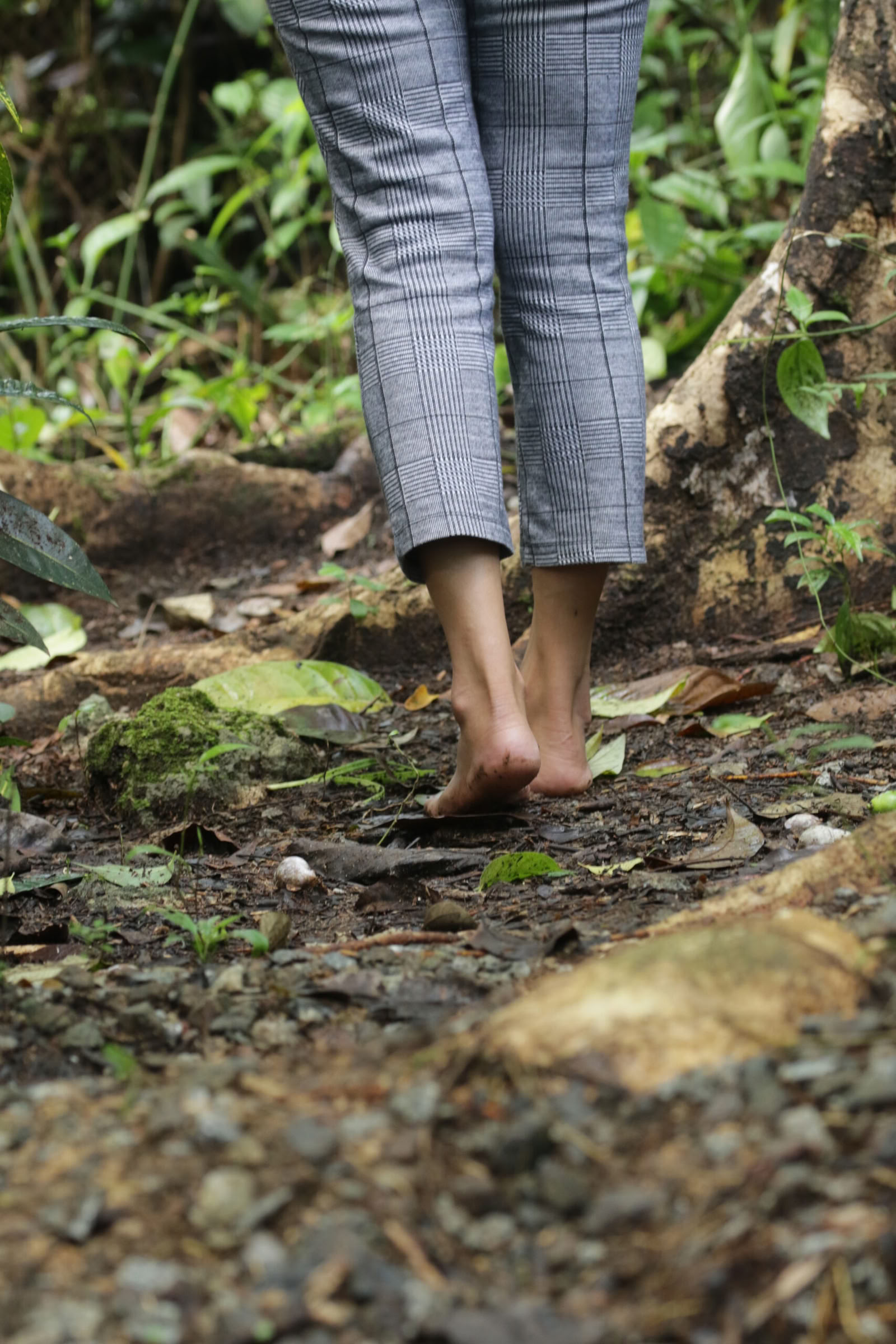 5Days & 4Nights Mindfulness Journey