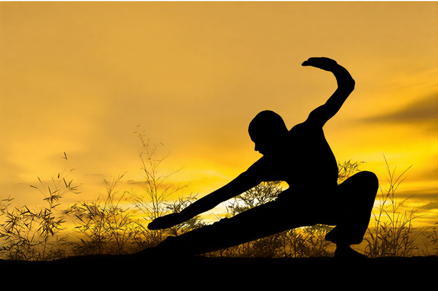 5Days & 4Nights Mindfulness Journey