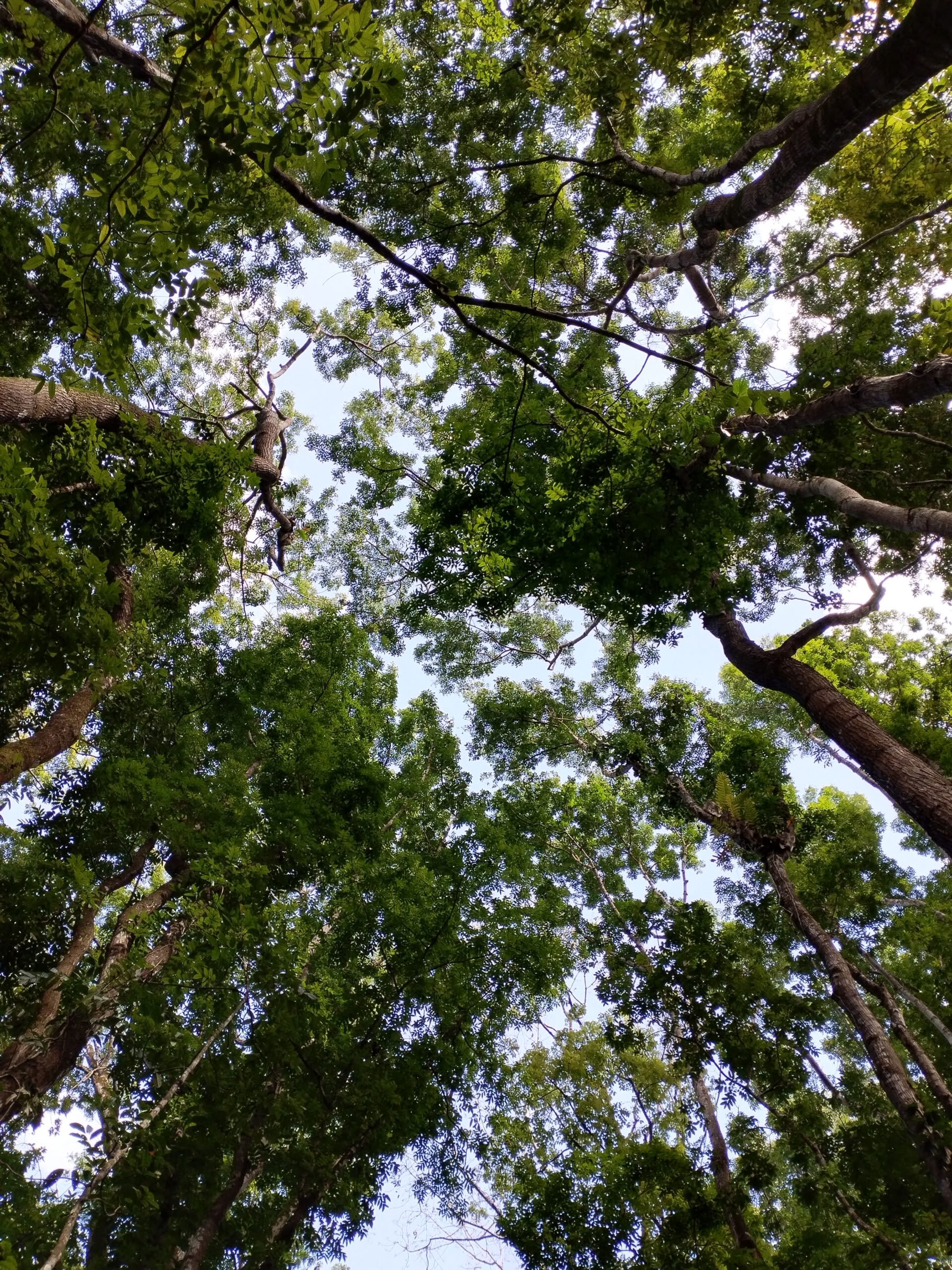 5Days & 4Nights Mindfulness Journey