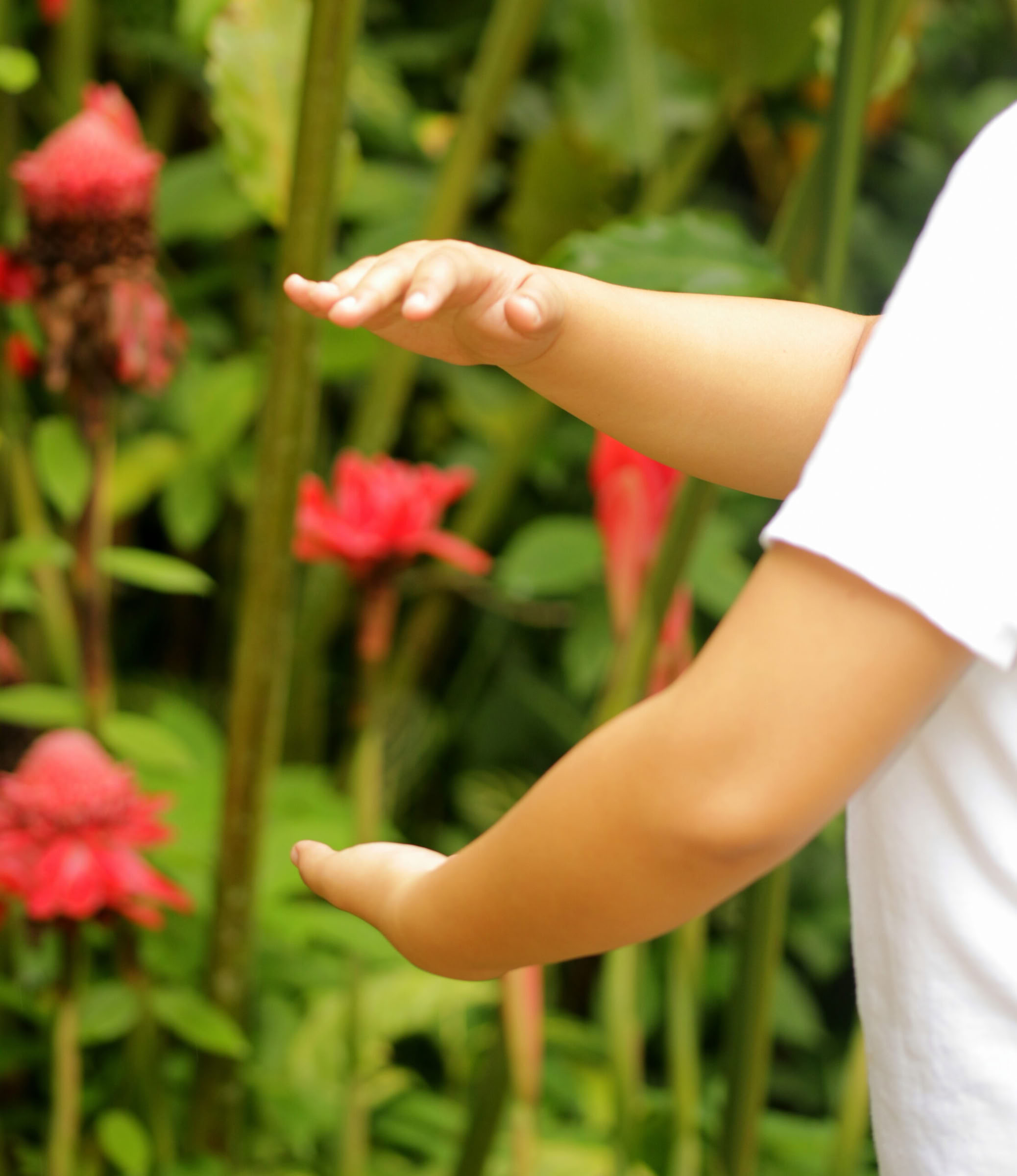 5Days & 4Nights Mindfulness Journey
