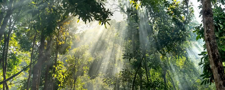 5Days & 4Nights Mindfulness Journey