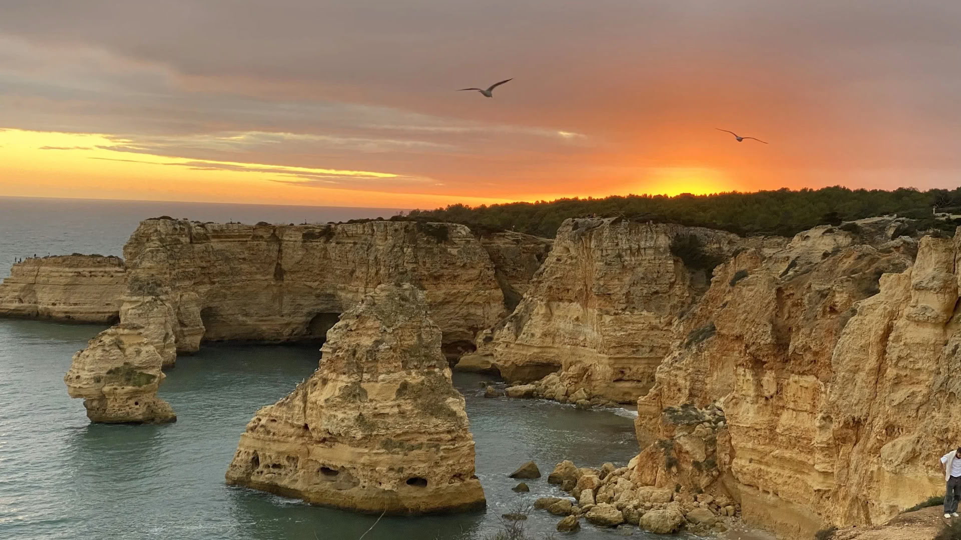 9 - 15 October 2026 — Yoga Retreat in Algarve