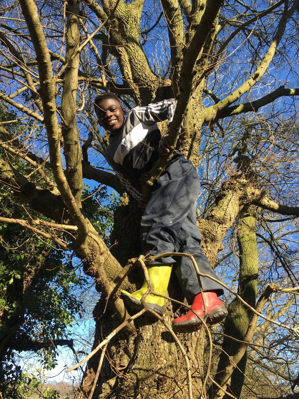 Countryside Day Visits for London primary schools