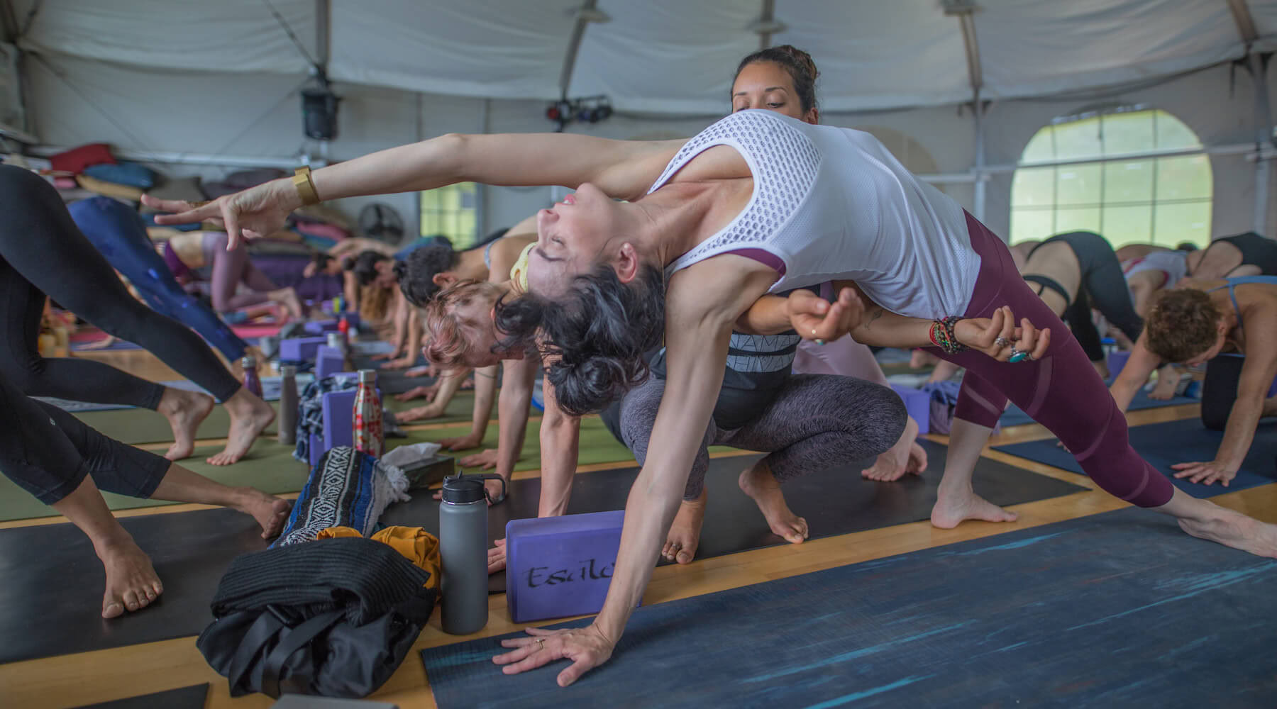 Lessons in Liberation: Power, Surrender, and Choice