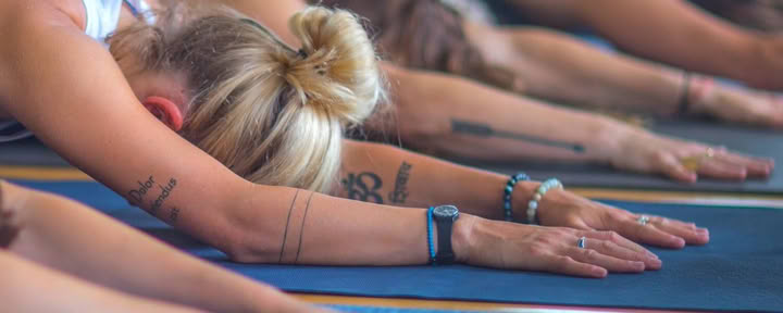 From Practice to Freedom: Let Your Inner Lion Roar
