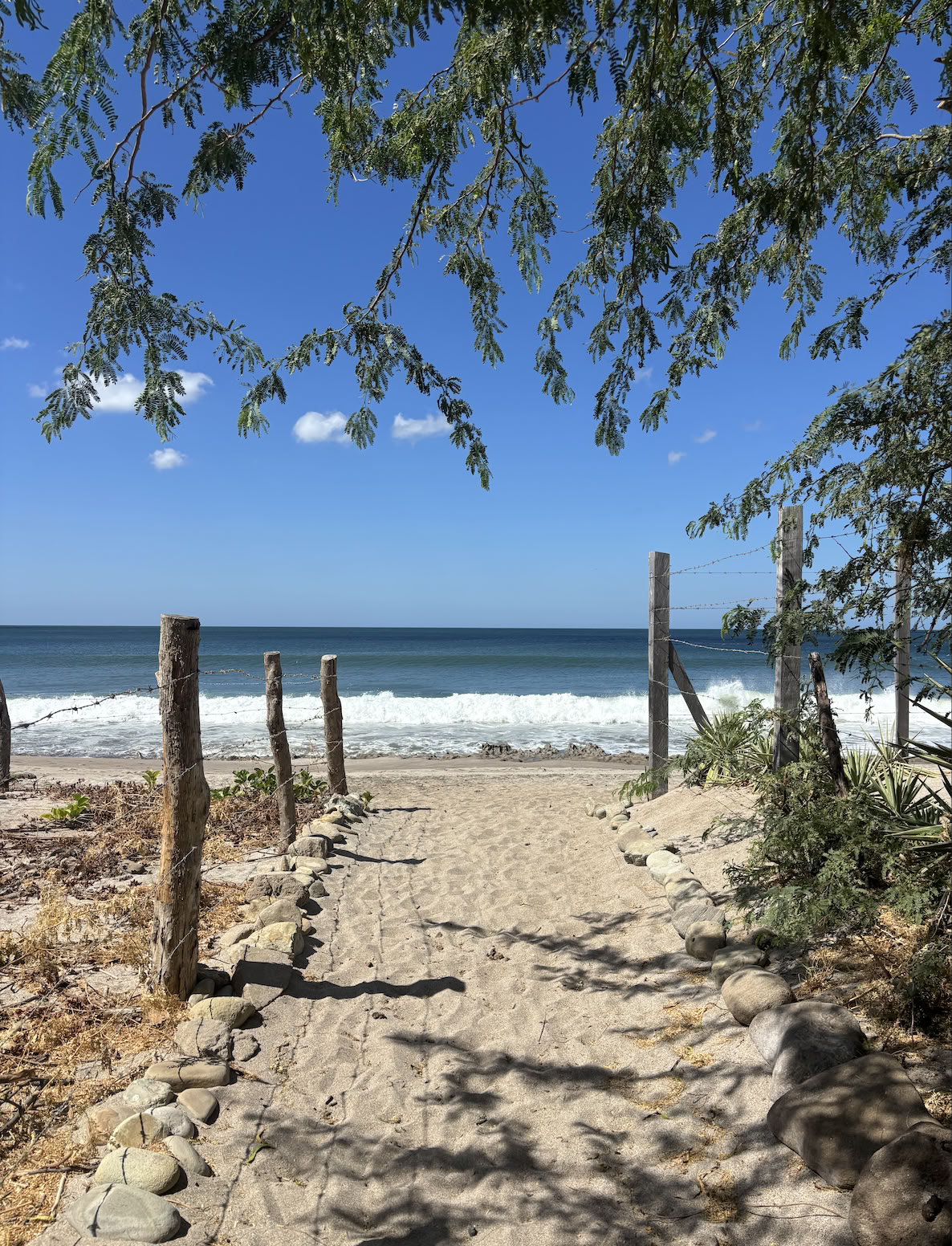 Nicaragua Yoga Retreat February 2027