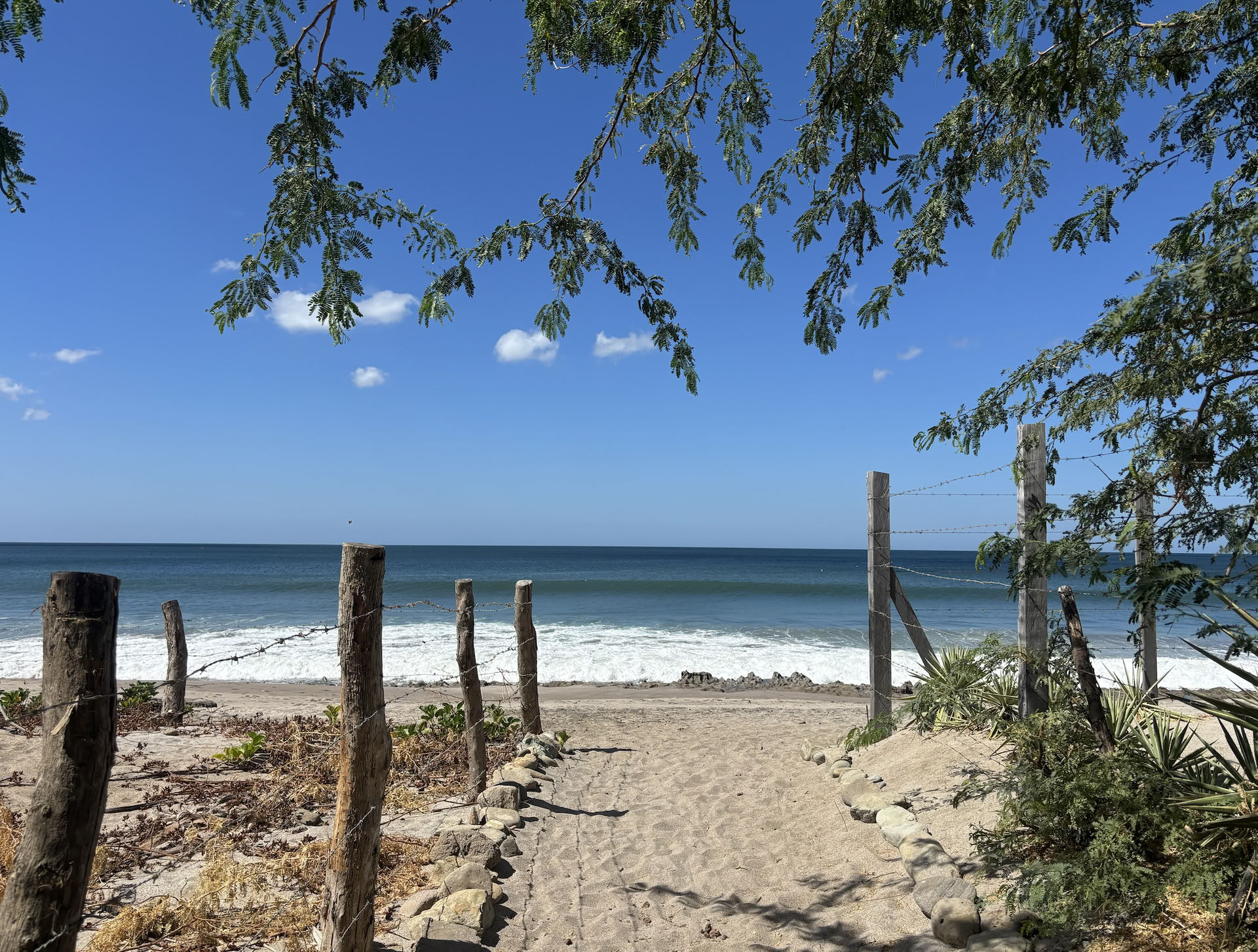 Nicaragua Yoga Retreat February 2027
