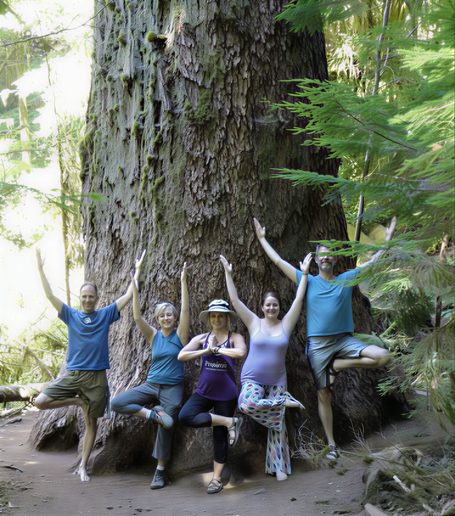 Olympic National Park Forest & Beach Bathing Retreat