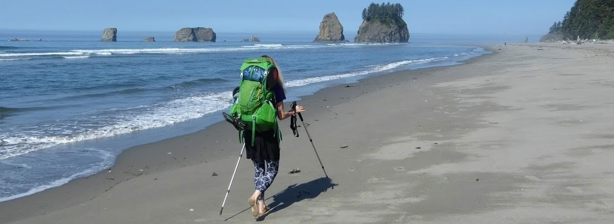 Olympic National Park Forest & Beach Bathing Retreat