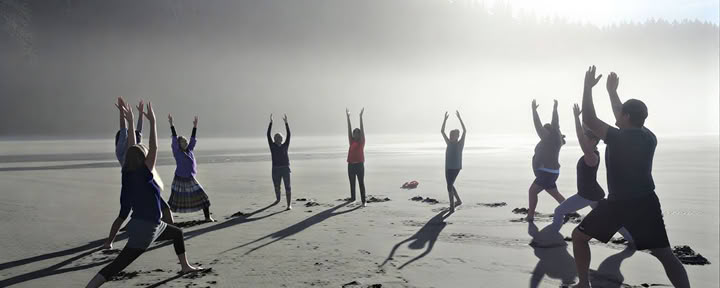 Olympic National Park Forest & Beach Bathing Retreat