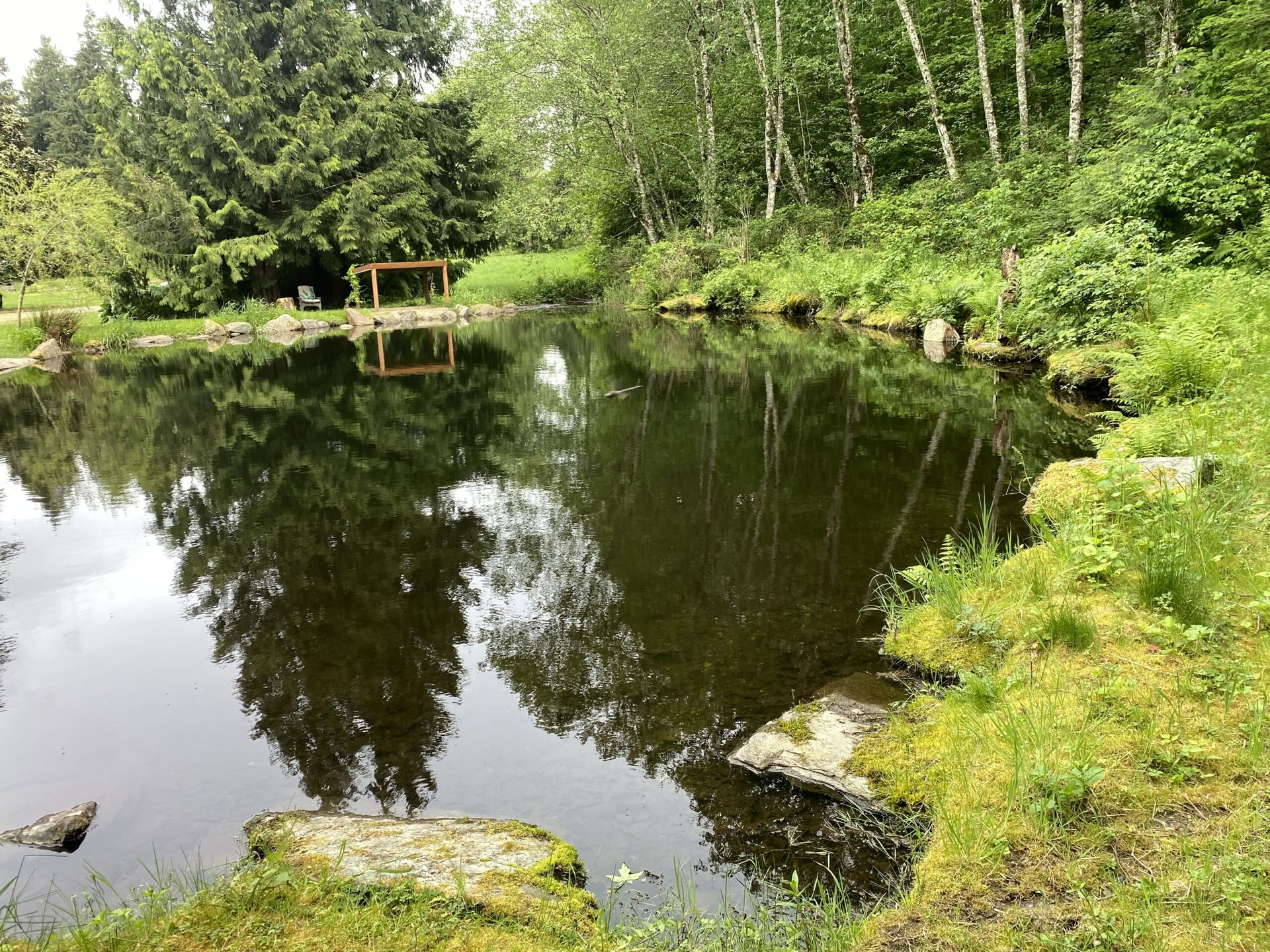Fox Creek Falls Yoga Hiking Healing Retreat