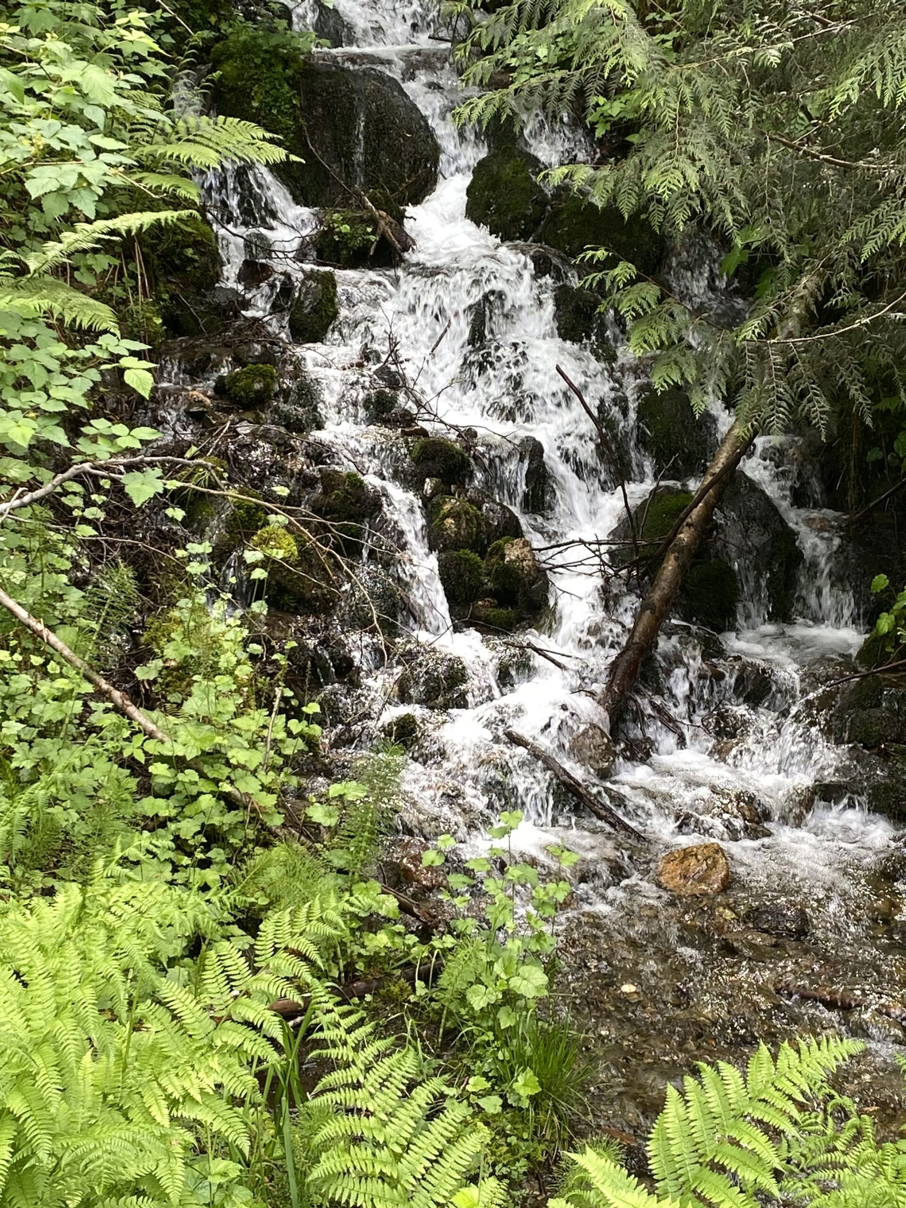 Fox Creek Falls Yoga Hiking Healing Retreat