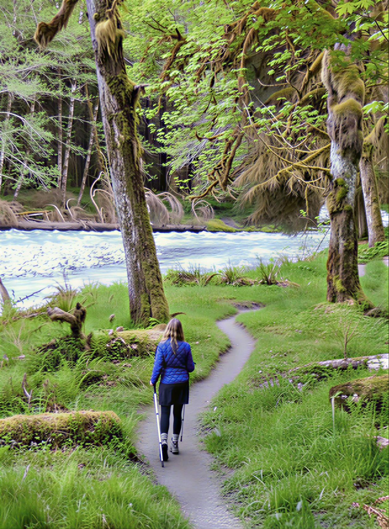 Cascades Meditation Hike Retreat