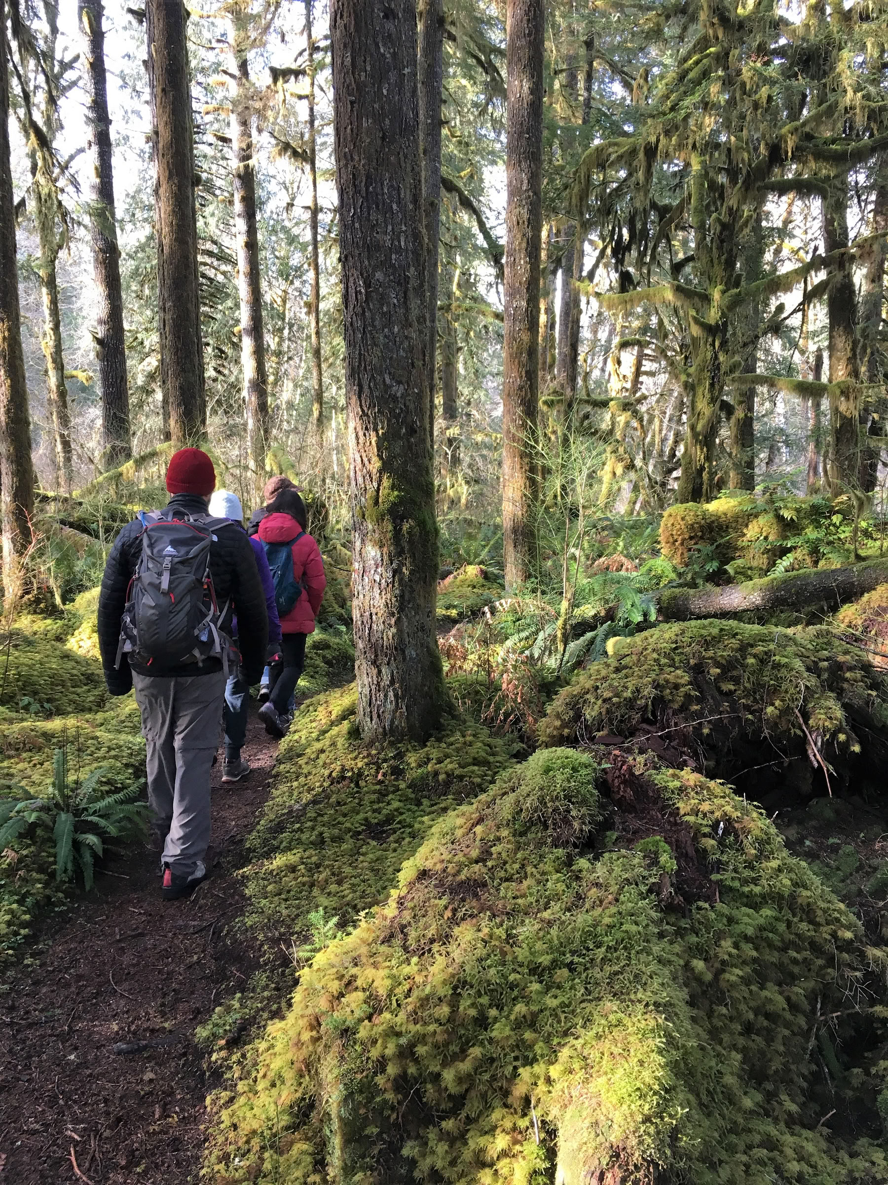 Cascades Meditation Hike Retreat
