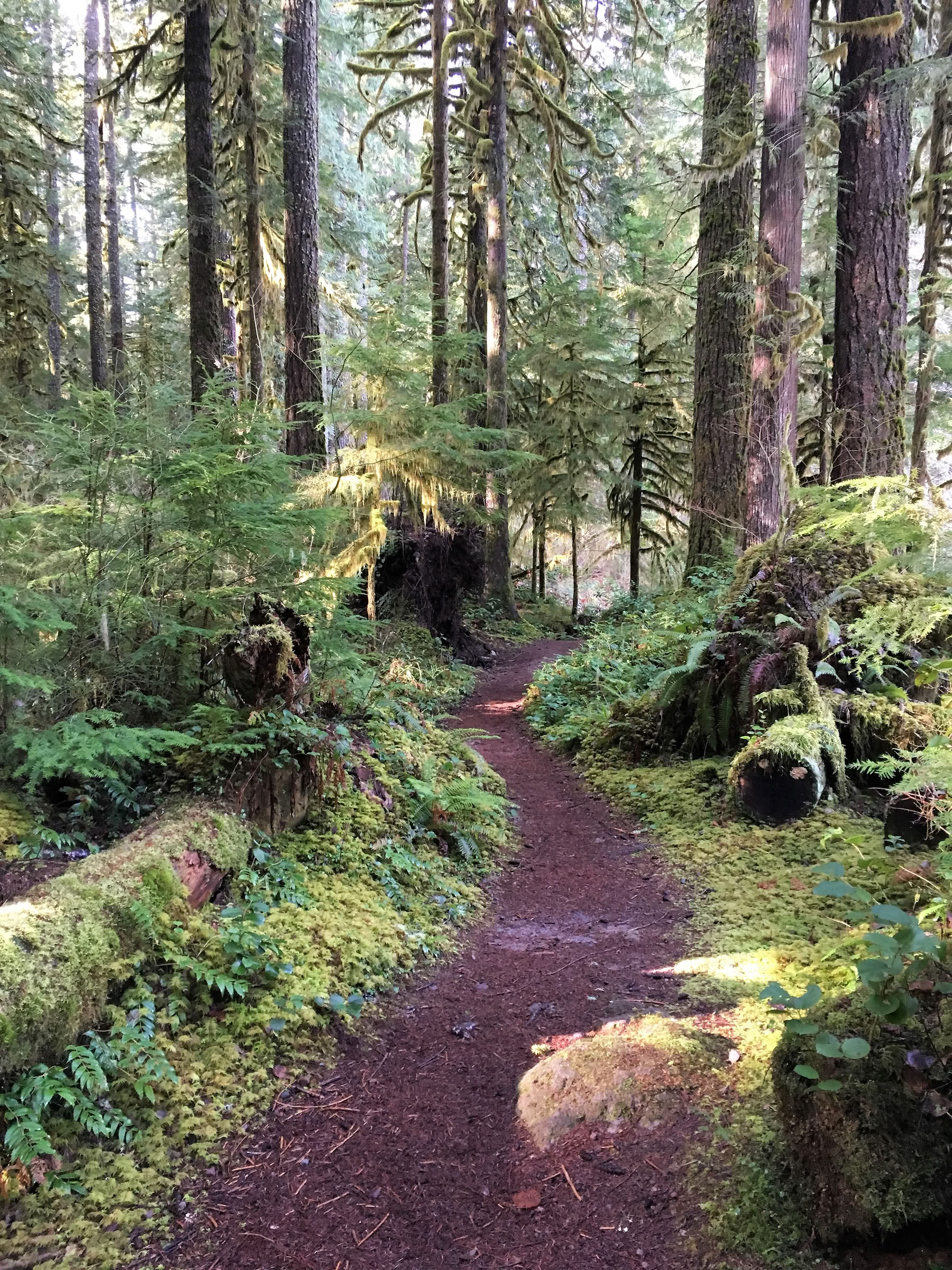 Cascades Meditation Hike Retreat