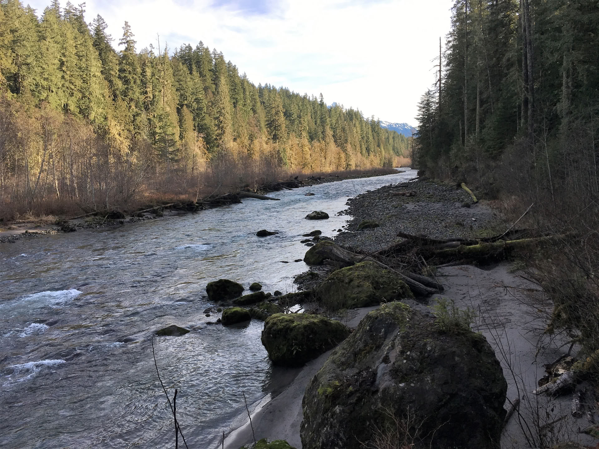Cascades Meditation Hike Retreat