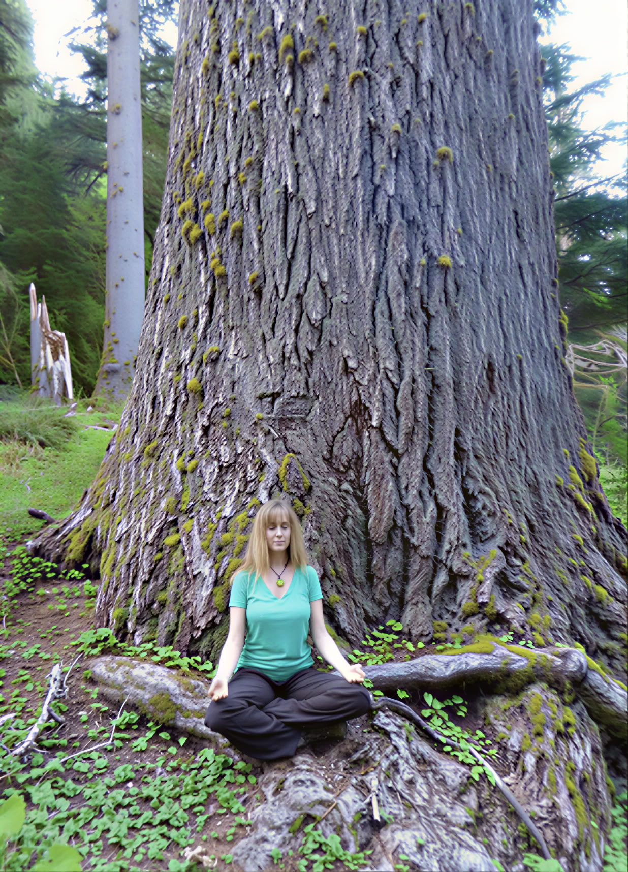Cascades Meditation Hike Retreat