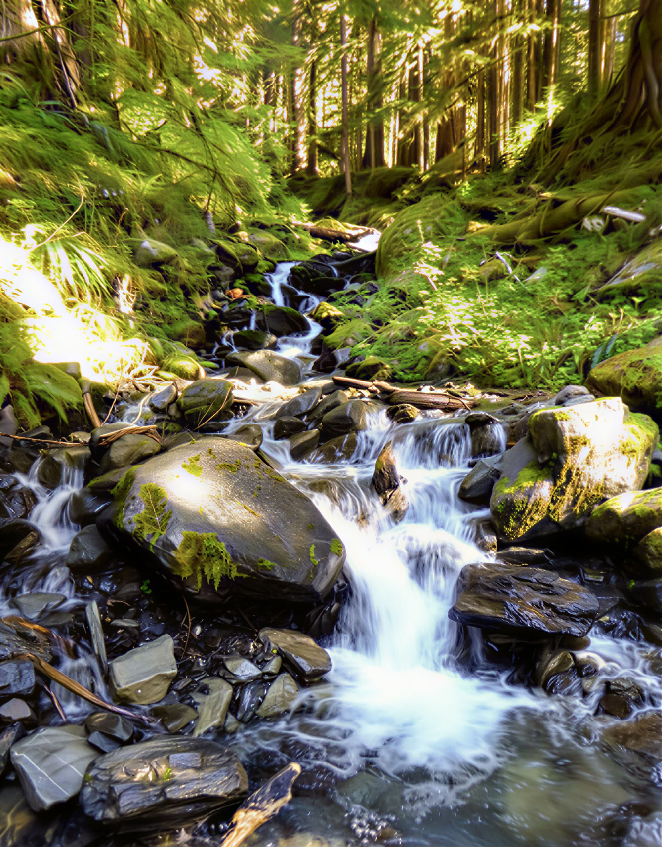 Cascades Yoga Hiking Pickleball Retreat