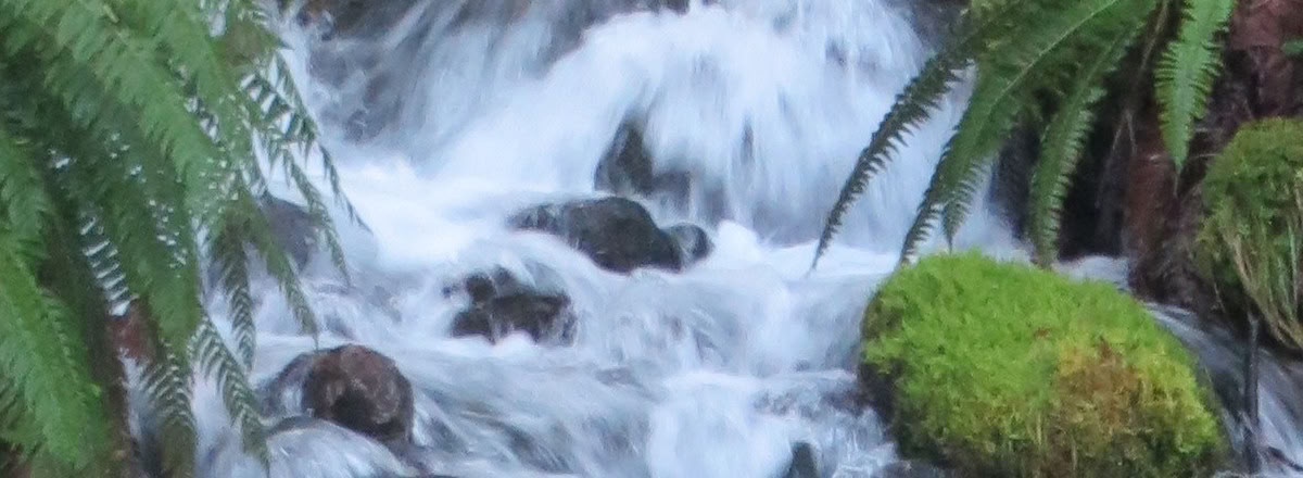 Frog Creek, WA Healing Retreat