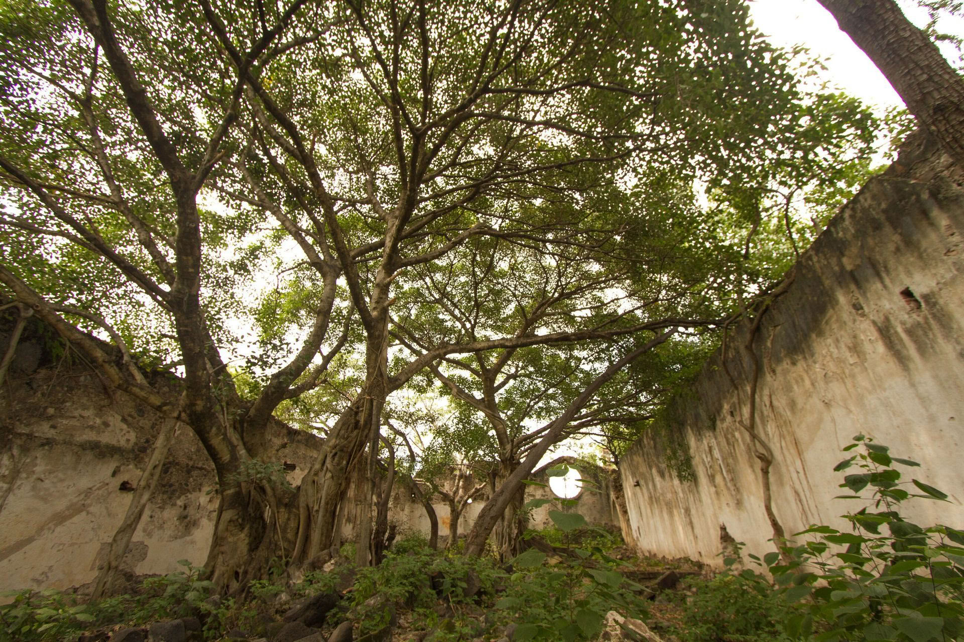 Transformative Yoga Retreat