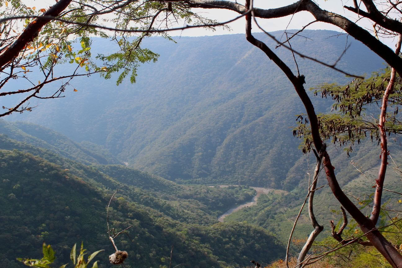 Transformative Yoga Retreat