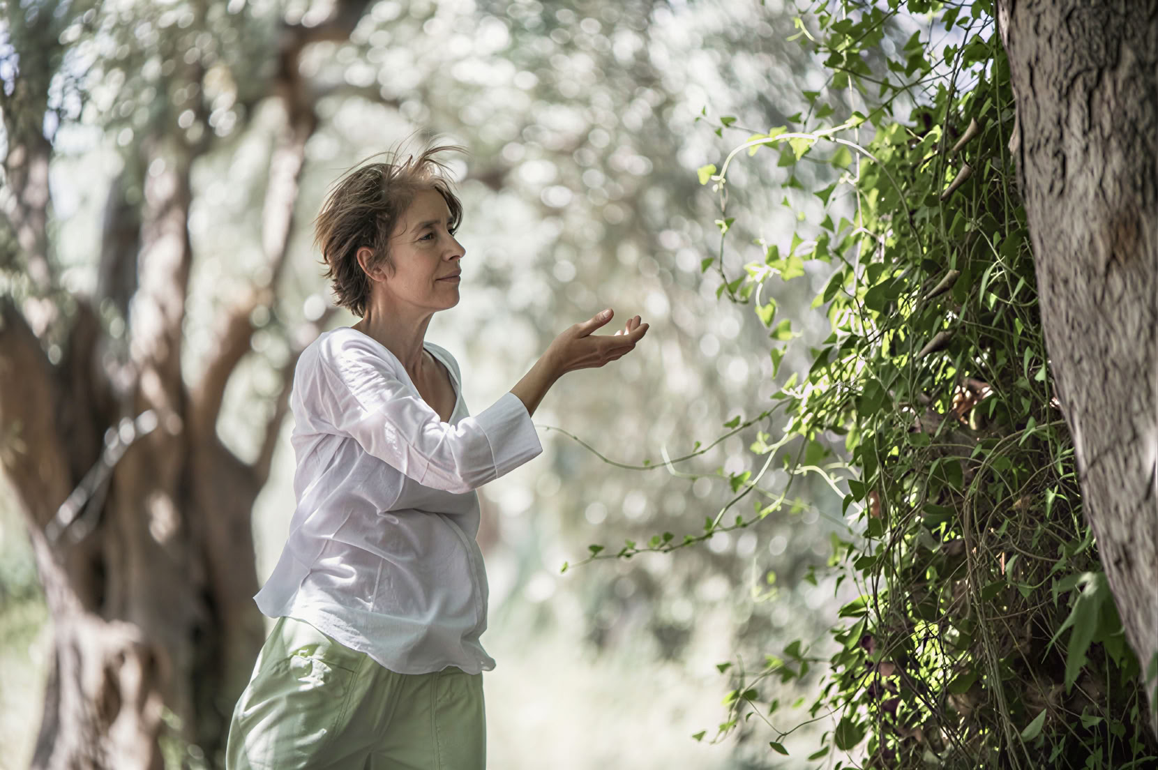 Tai Chi Qigong Retreat