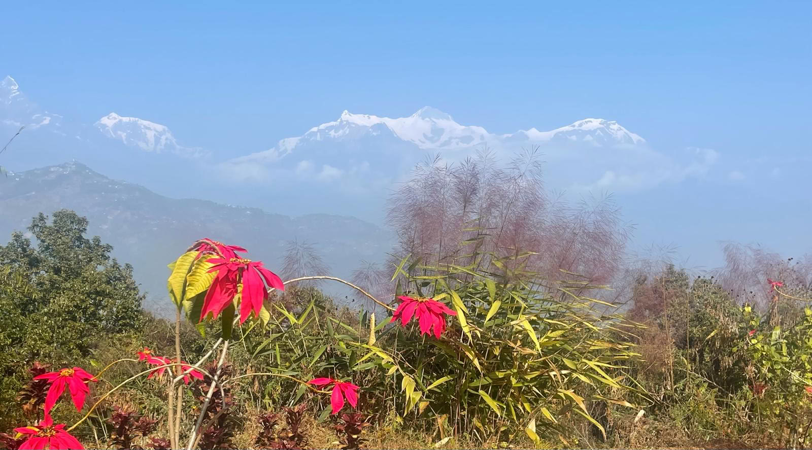 Himalayan Healing and Adventure Retreat