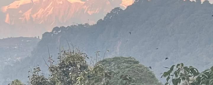Himalayan Healing and Adventure Retreat