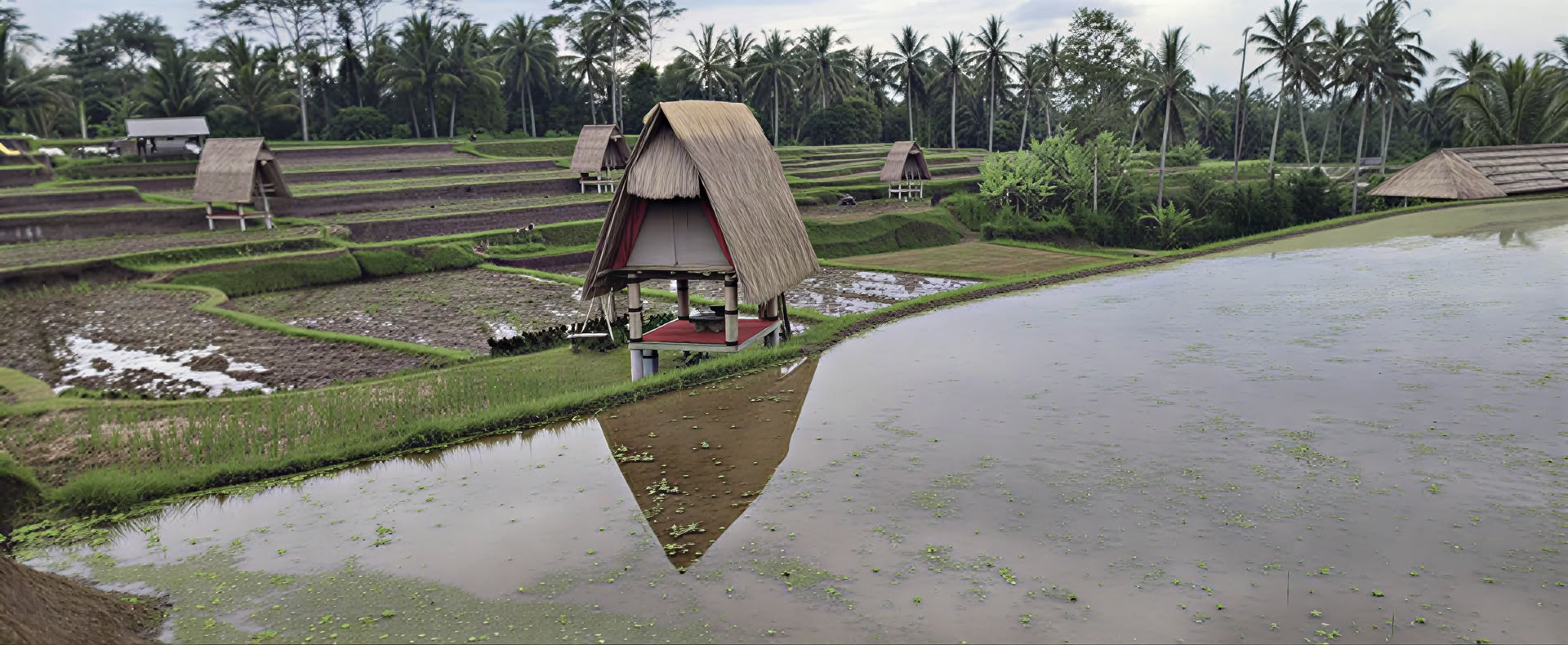 Bali Retreat