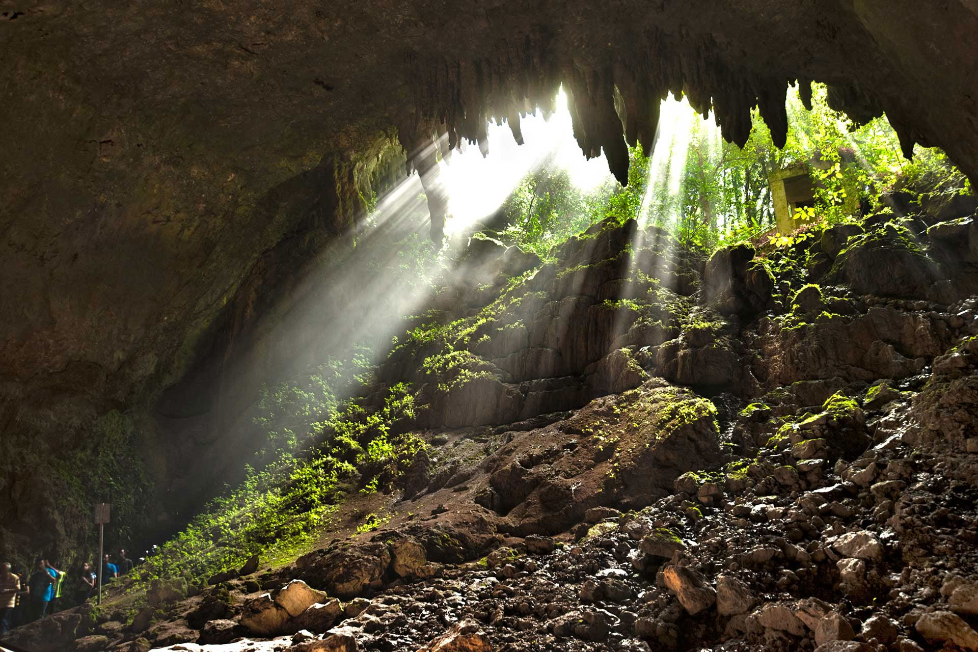 3-Day Retreat: Mind, Body & Spirit