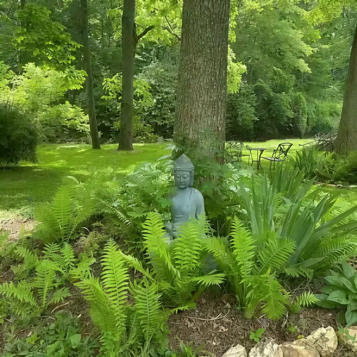 Journey of Empowerment