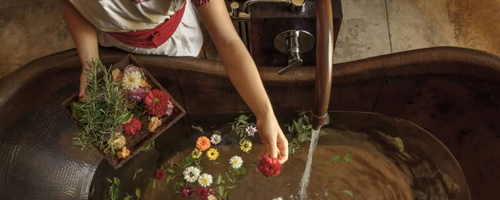 Cleanse Spa Package – 5 Day
