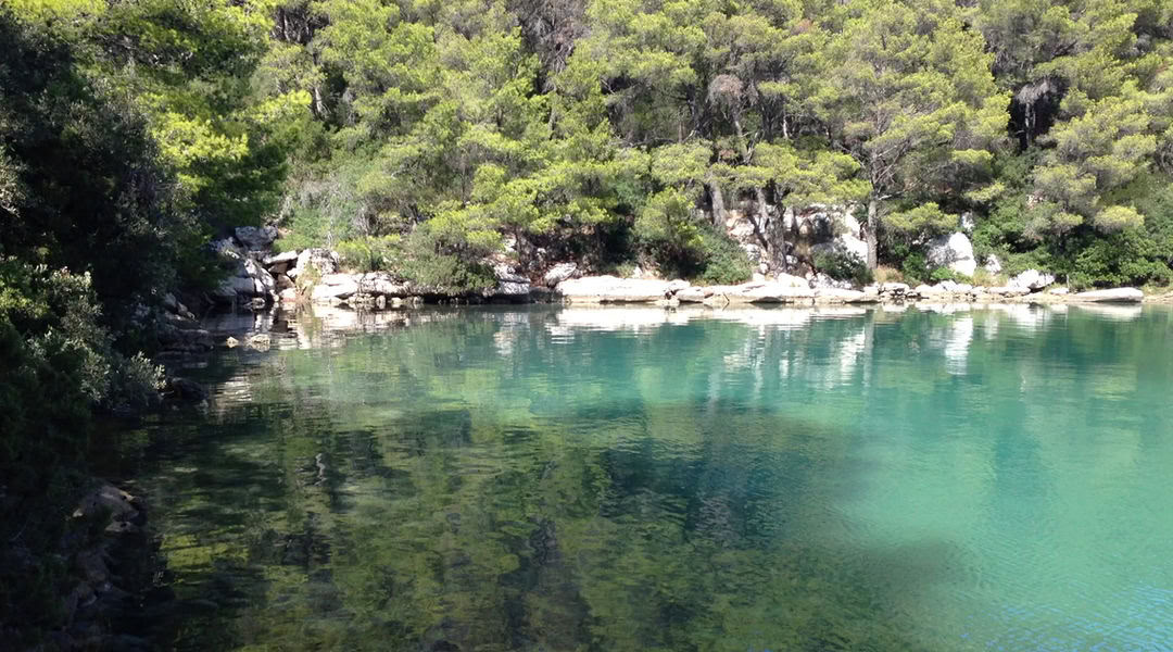 Mljet Retreat Experience