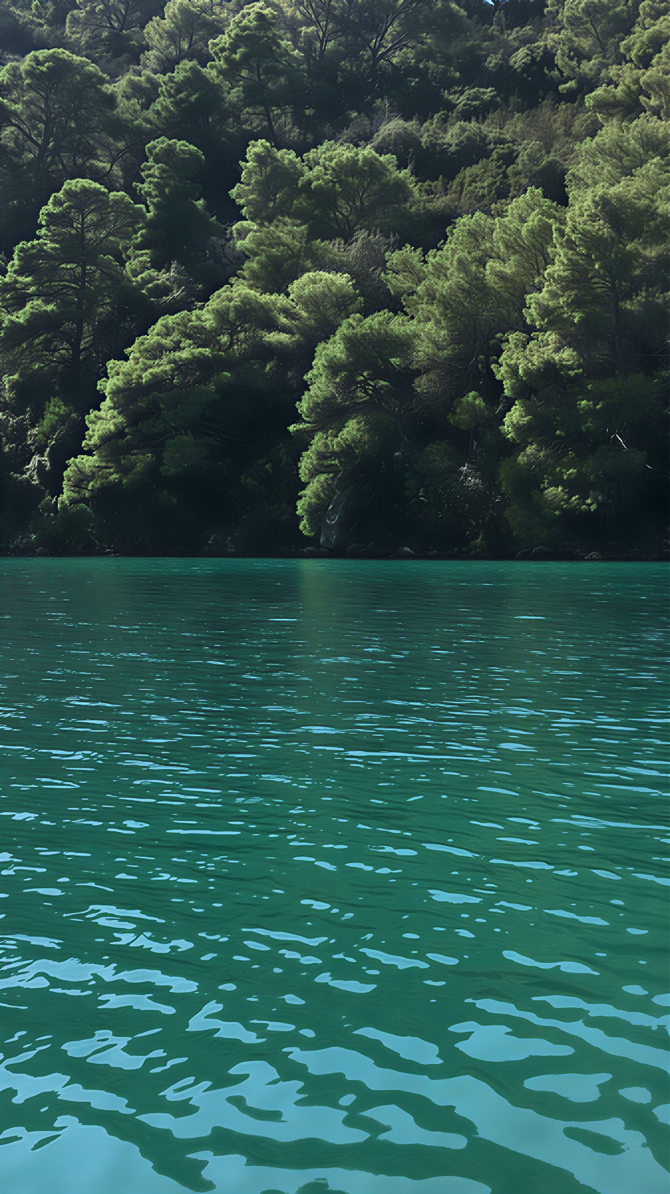 Mljet Retreat Experience
