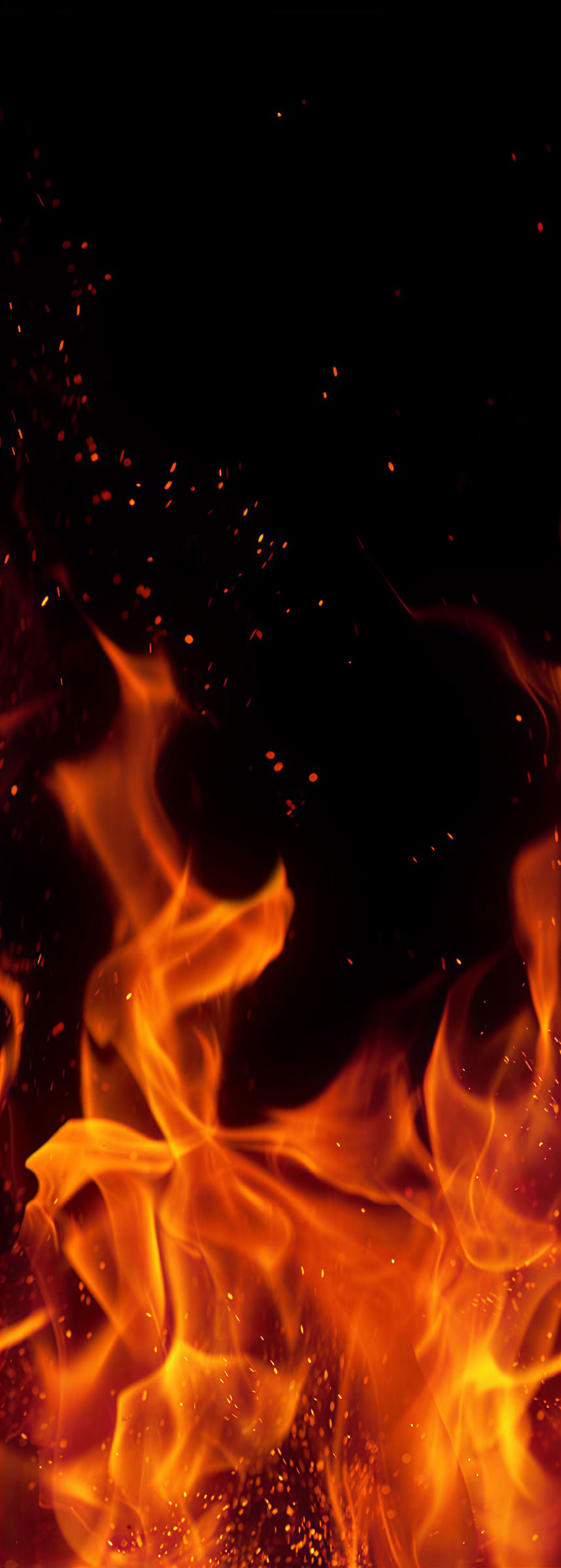 Phoenix Rising Retreat