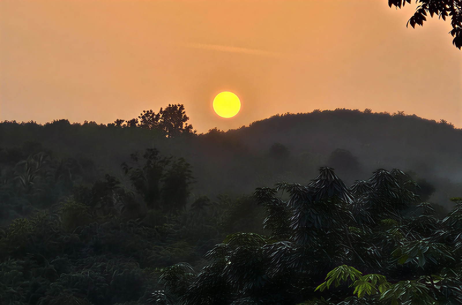 Wellness Retreat in Kerala