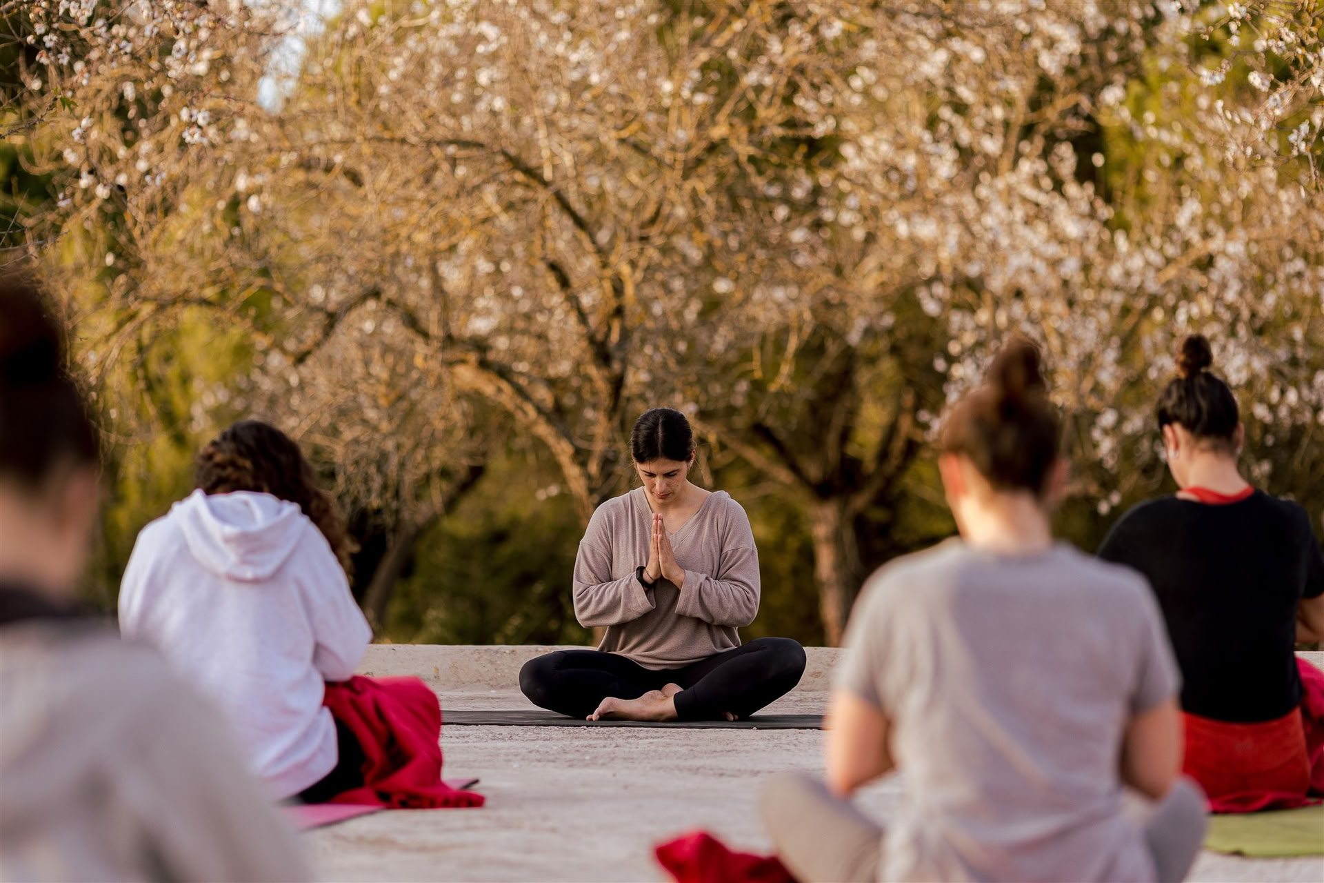 Vinyasa YOGA at IBIZALOE ( San Antonio )