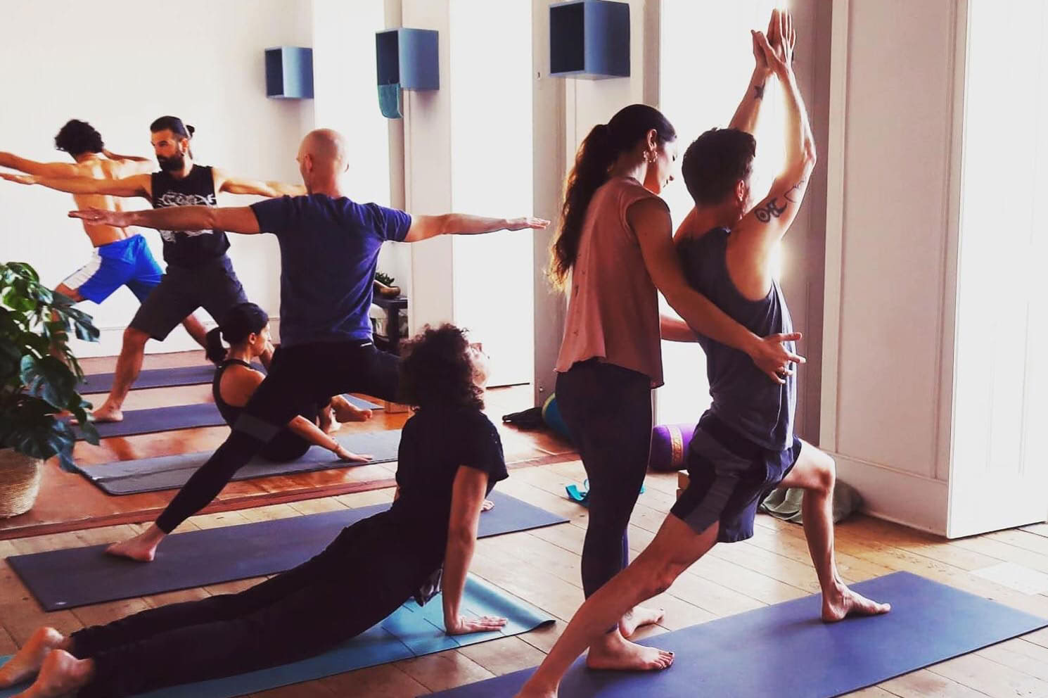 Ashtanga Vinyasa Yoga Teacher Training 2026