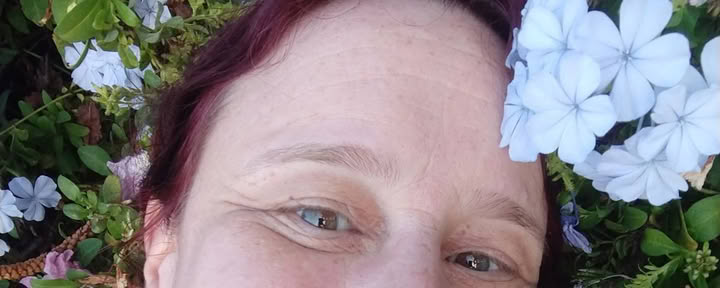 Reiki Treatment