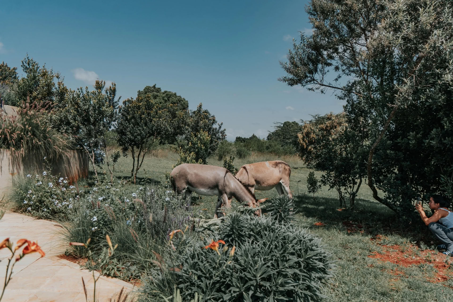 Reconnect, Rest & Rewild
