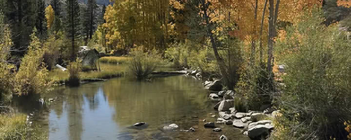 Bishop Creek Yoga Getaway