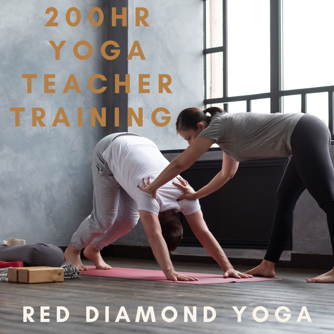 200-hr YTT Vinyasa Teacher Training, Yoga Alliance Certified